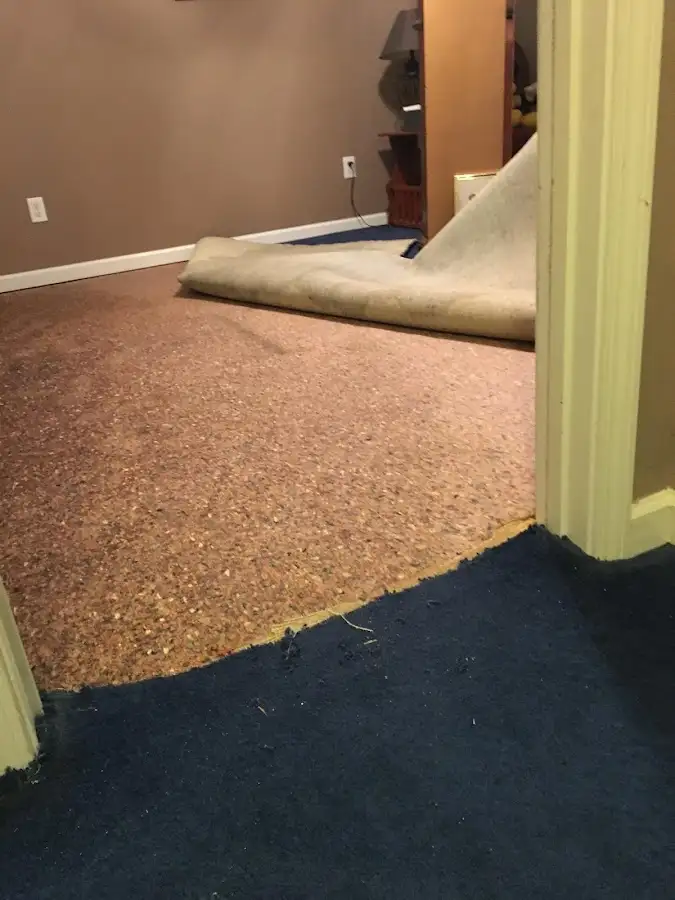 Carpet pad removal revealing water damage during Water Mitigation Services in Cicero
